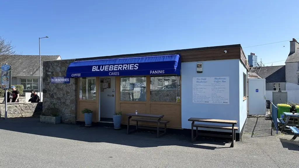 Cl 10_Blueberries_Amlwch_review