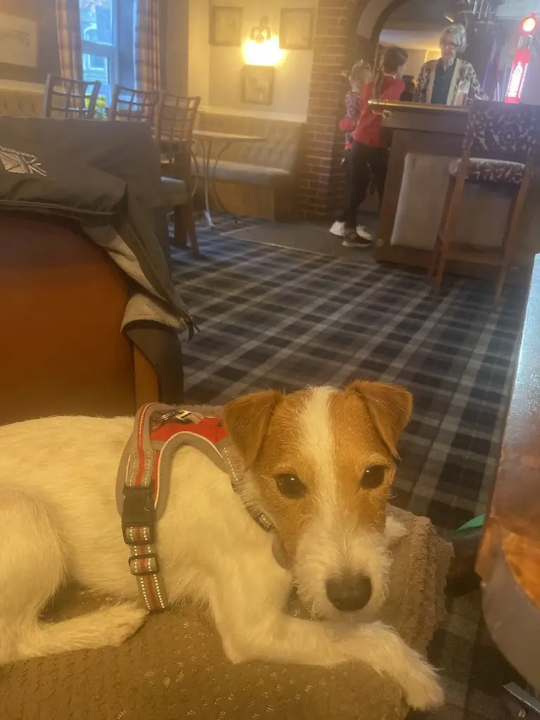 stuart waite_The Market Tavern_Amlwch_review