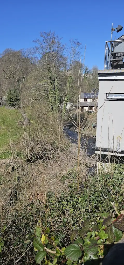 trevor whiteman_The Glantaff Inn_Abercynon_review