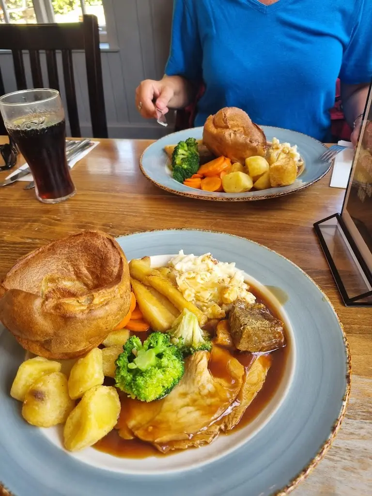 Vicki Molano_Apple Tree_Bishops Cleeve_review