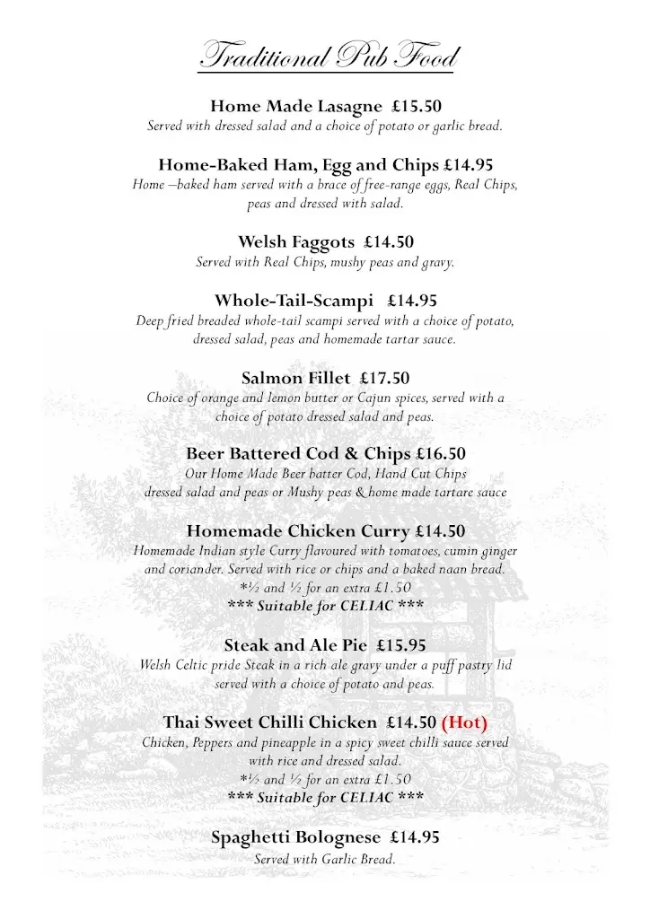 Menu_The Brynffynon_Abercynon_image_3