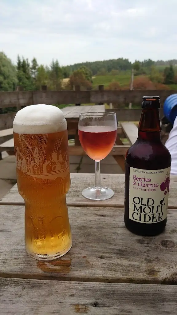 Menu_The Brynffynon_Abercynon_image_5