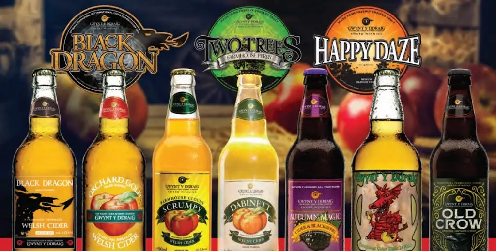 The Brynffynon_Abercynon_slider_image_3