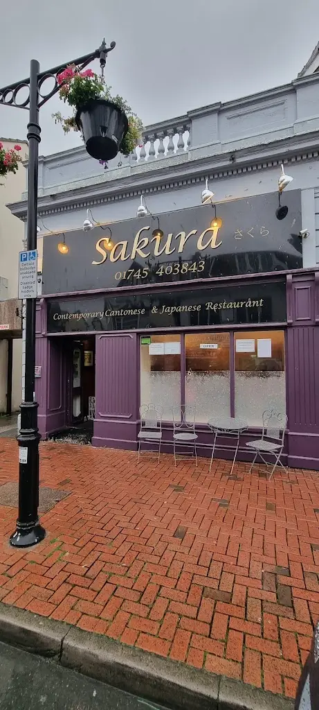 Darius D_Sakura Cantonese Cuisine_Abergele_review
