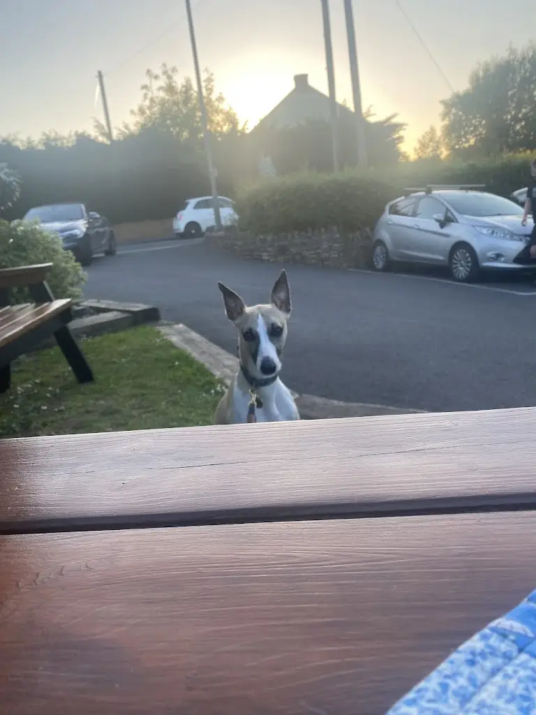 Emma Miller_The Hollybush Pub_Bitton_review