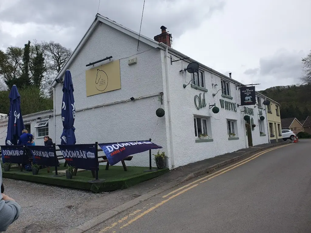 Vicki Rees_The Old White Horse Inn_Blaengwynfi_review