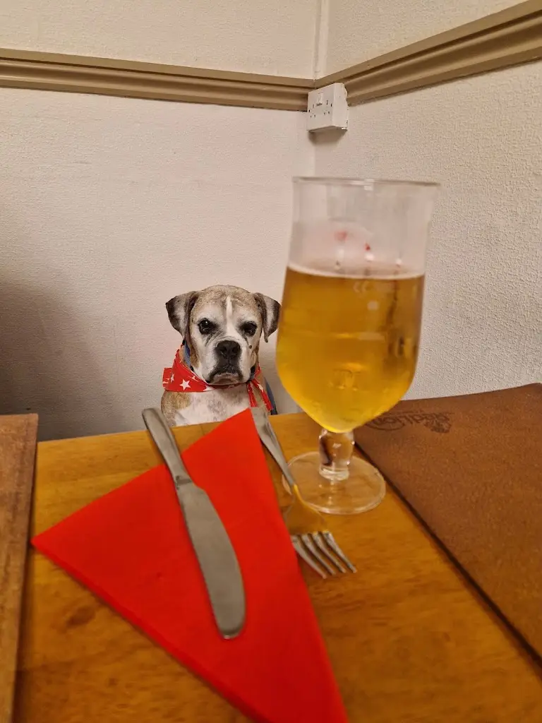 Menu_The Red Lion, Llandybie_Ammanford_image_7