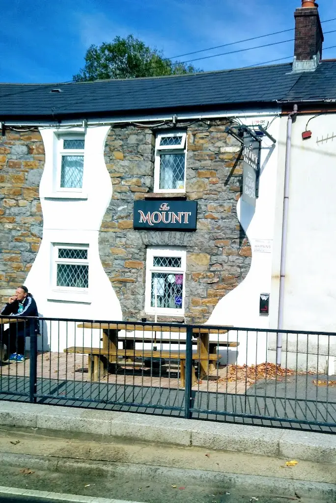 The Mount Bar and Grill restaurant in Ammanford