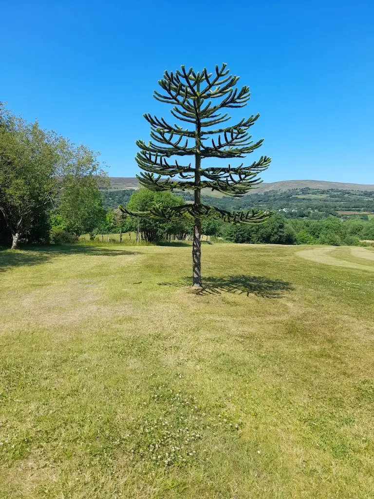 andrew probert_The kitchen at Garnant Golf Club_Ammanford_review