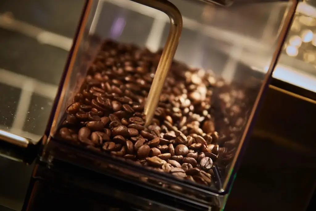 Menu_The Tythings_Bishopsworth_immagine_4