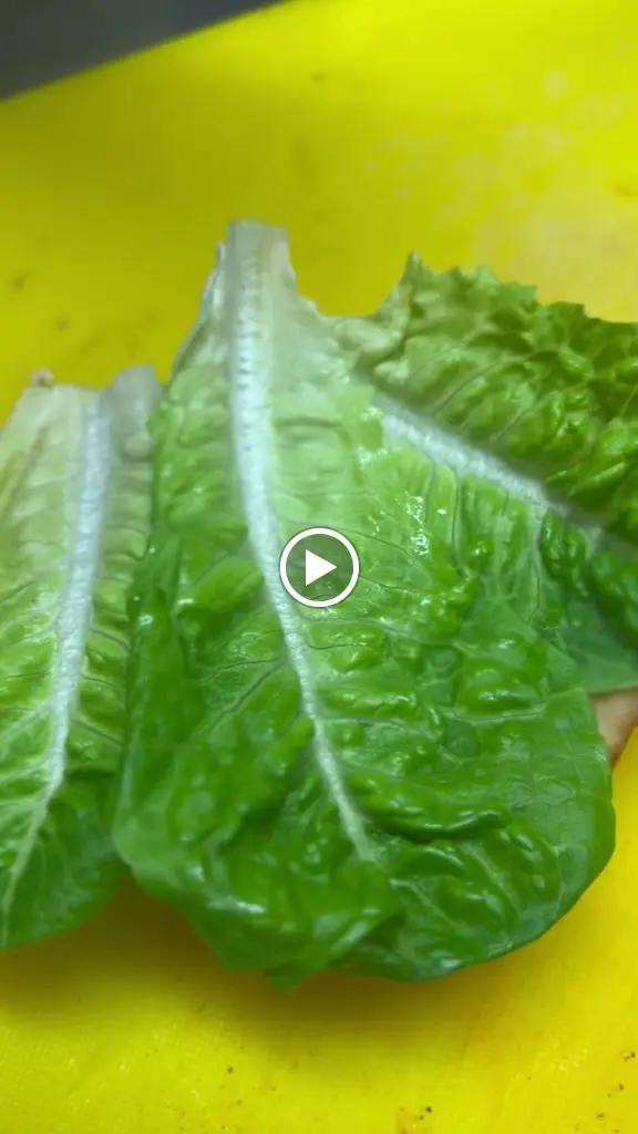 Snack Shack AF_Ammanford_slider_image_2