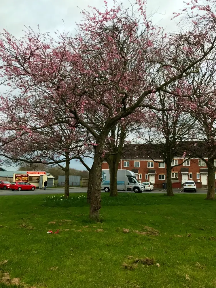 Highridge Kebabs restaurante en Bishopsworth