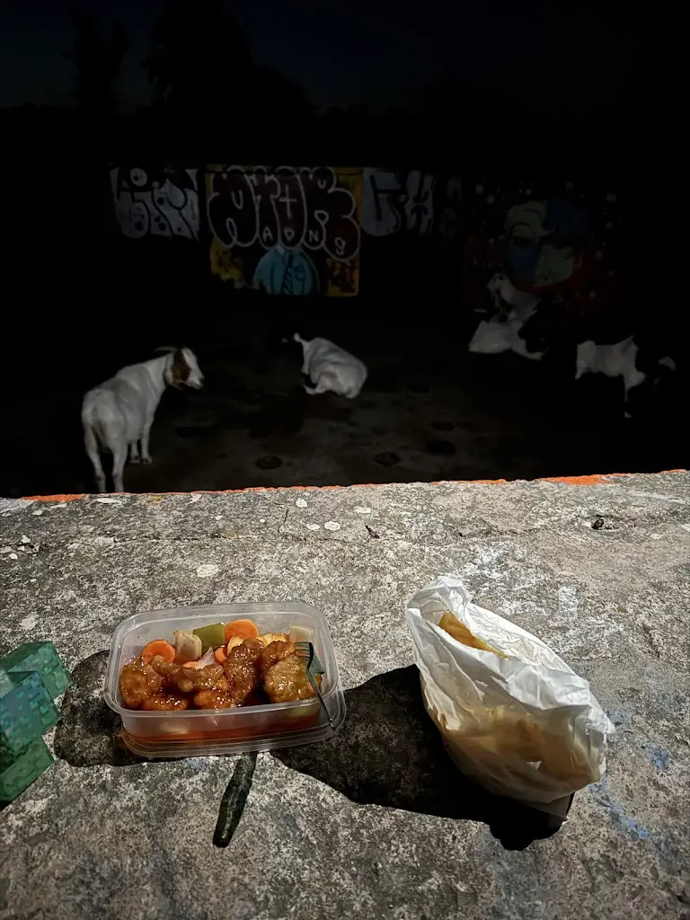 Sunya Hatch-Barnwell_Xing Long_Bishopston_review