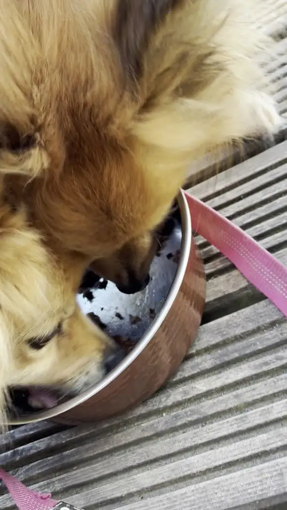 Samantha nicholas_Hills_Brecon_review