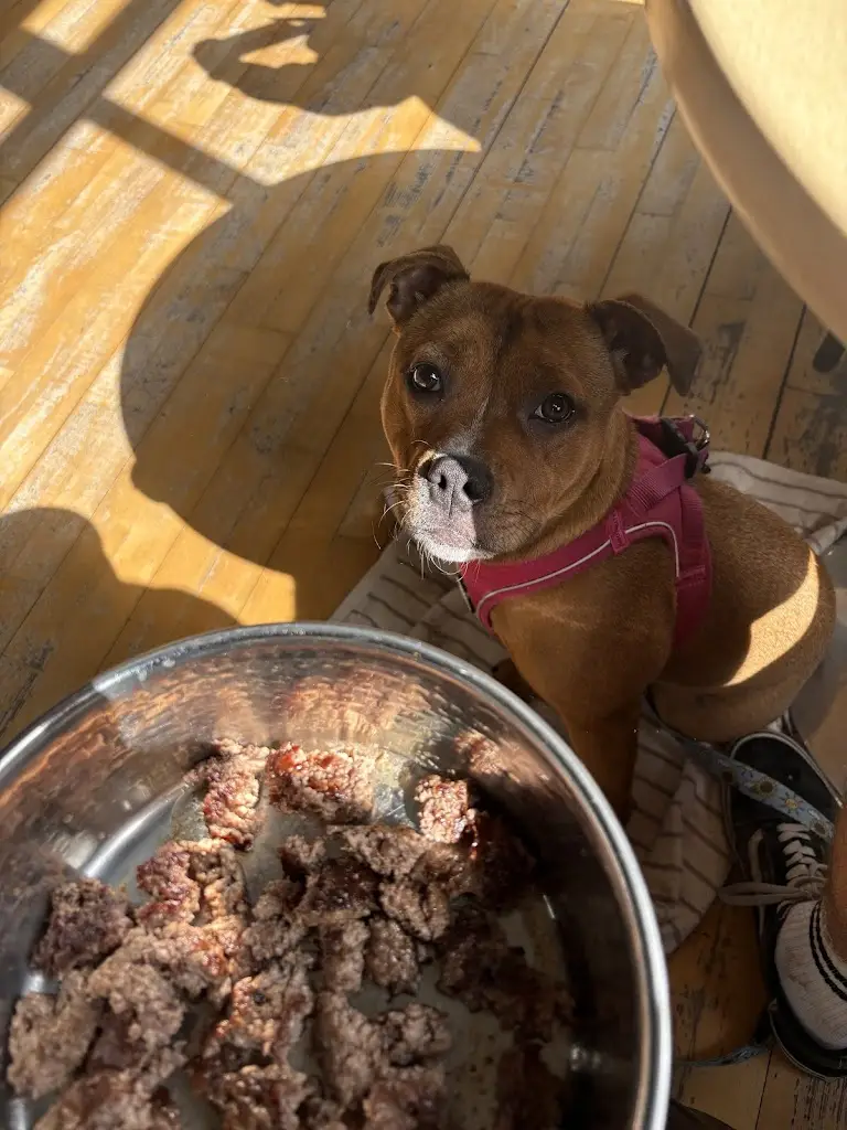 Jennifer_Hills_Brecon_review