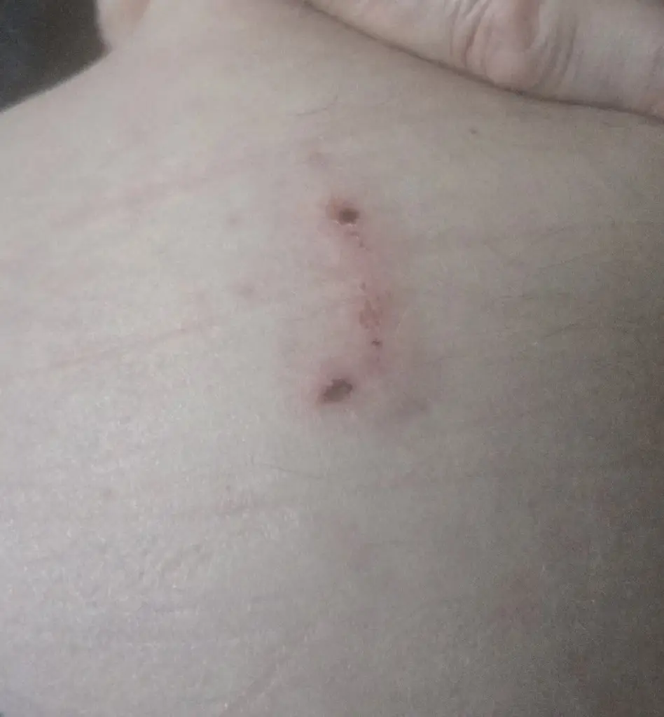 Josh Godsell_Hop In Beer and Gin_Brecon_review