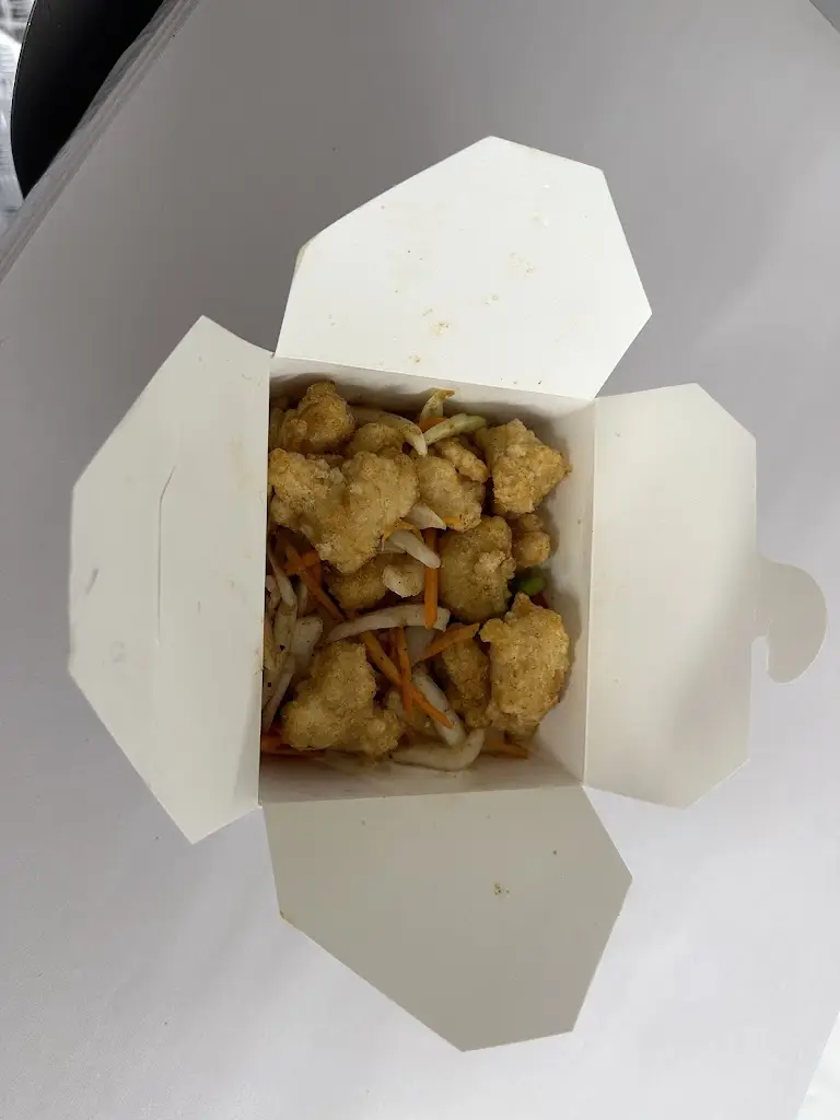 Menu_The Kowloon House_Caergwrle_imagen_4