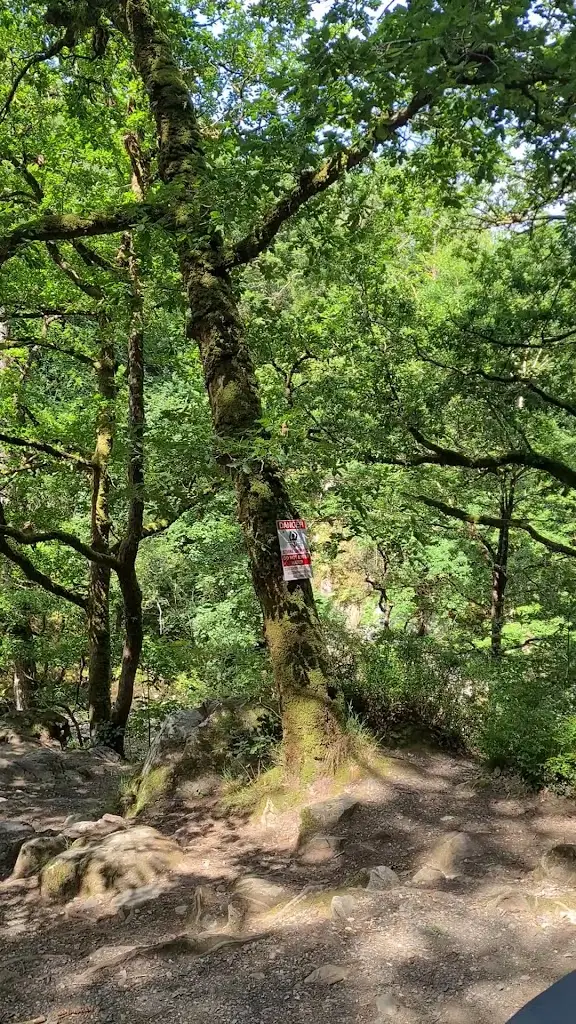 Conwy Falls Cafe_Betws-y-Coed_slider_image_2