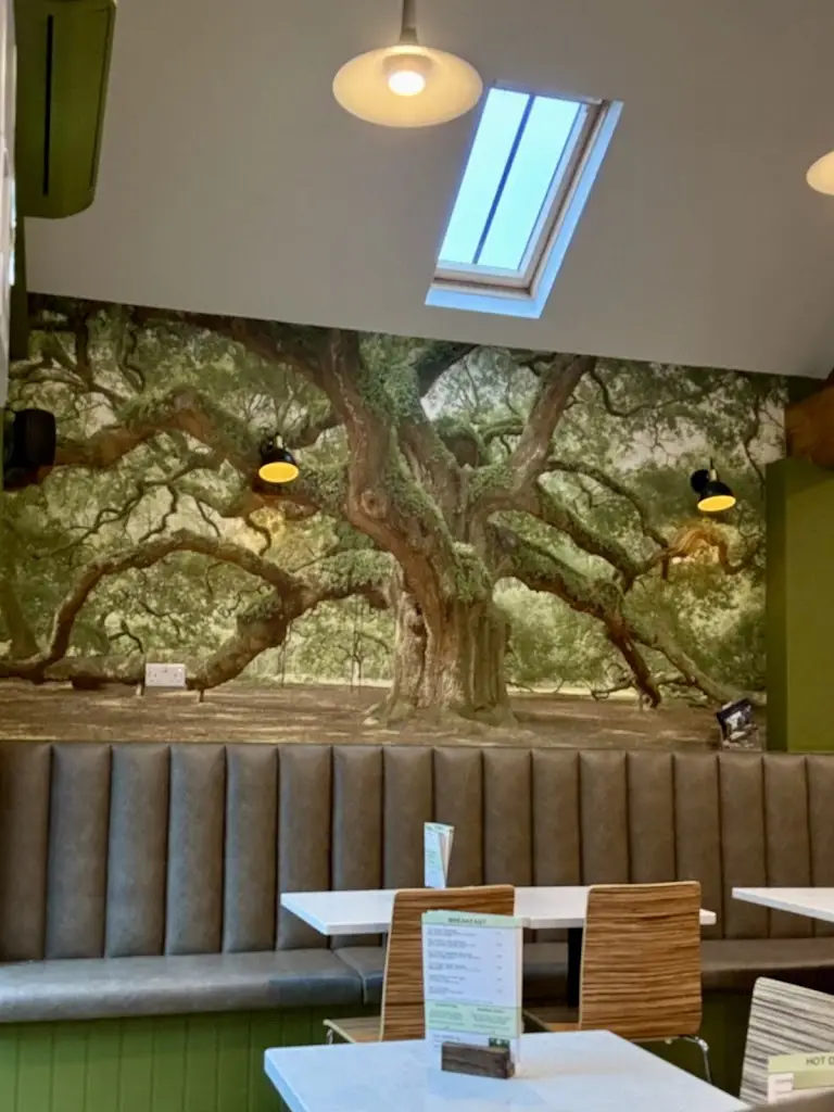 Nathan Stewart_Bwyd i Fynd_Betws-y-Coed_review