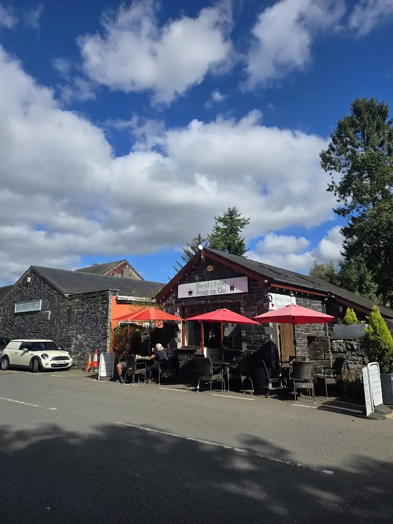 Madhura Joshi_Bwyd i Fynd_Betws-y-Coed_review