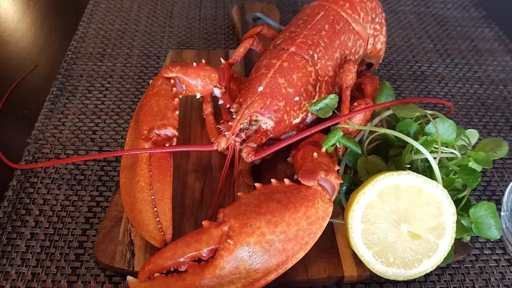 Menu_The New Curiosity_Carmarthen_image_6