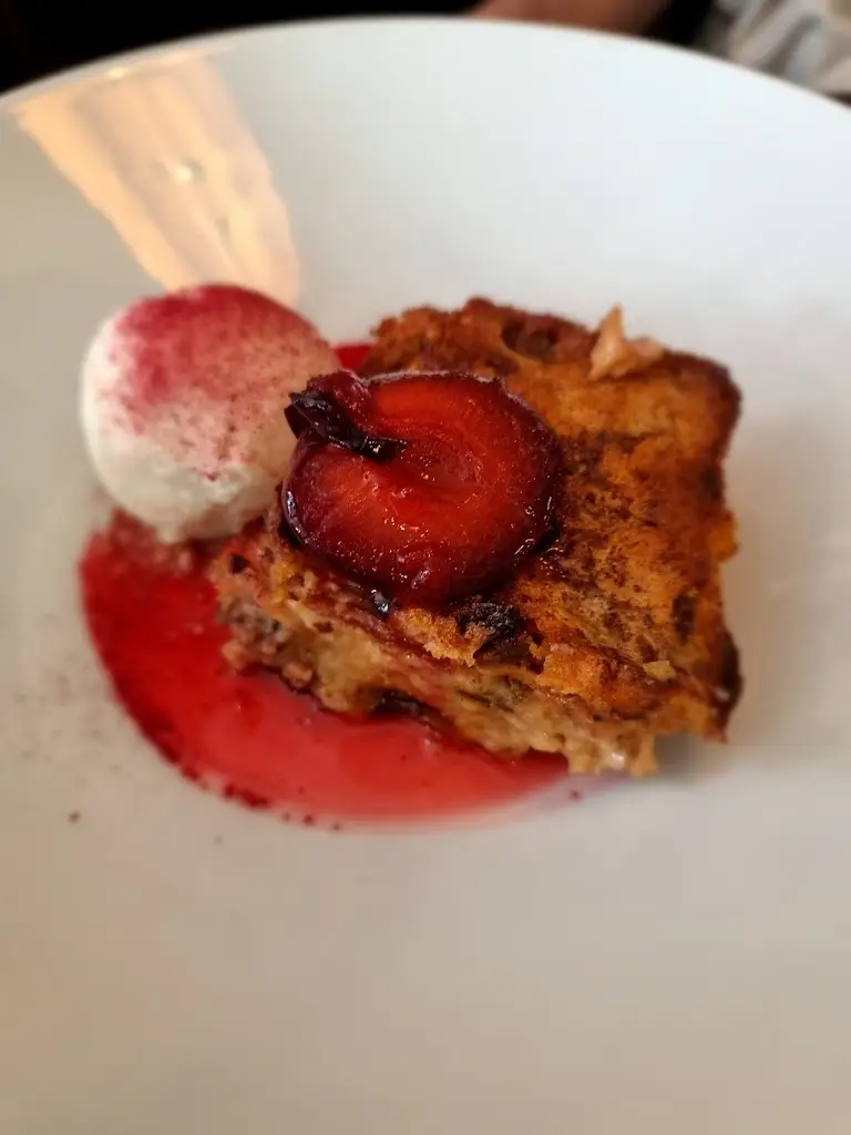 Julie Stenlake_The New Curiosity_Carmarthen_review