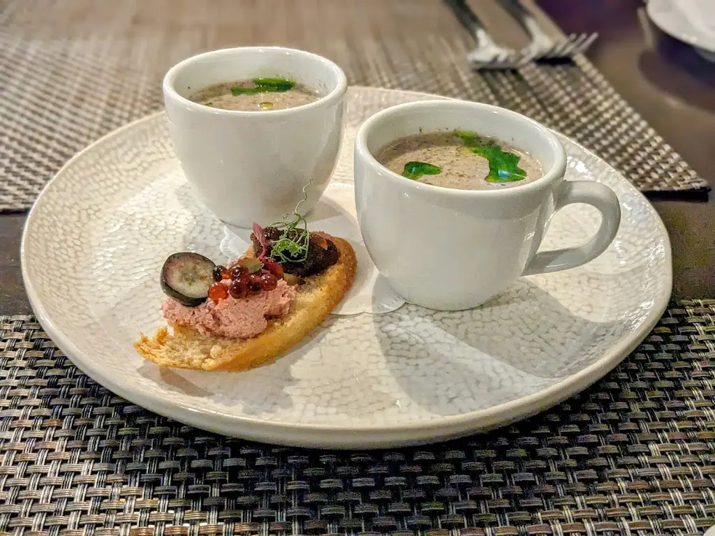 Mike Chambers_The New Curiosity_Carmarthen_review