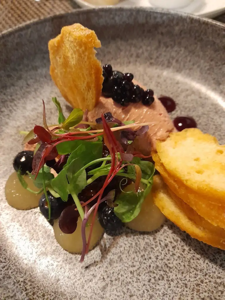 Louise Adams_The New Curiosity_Carmarthen_review