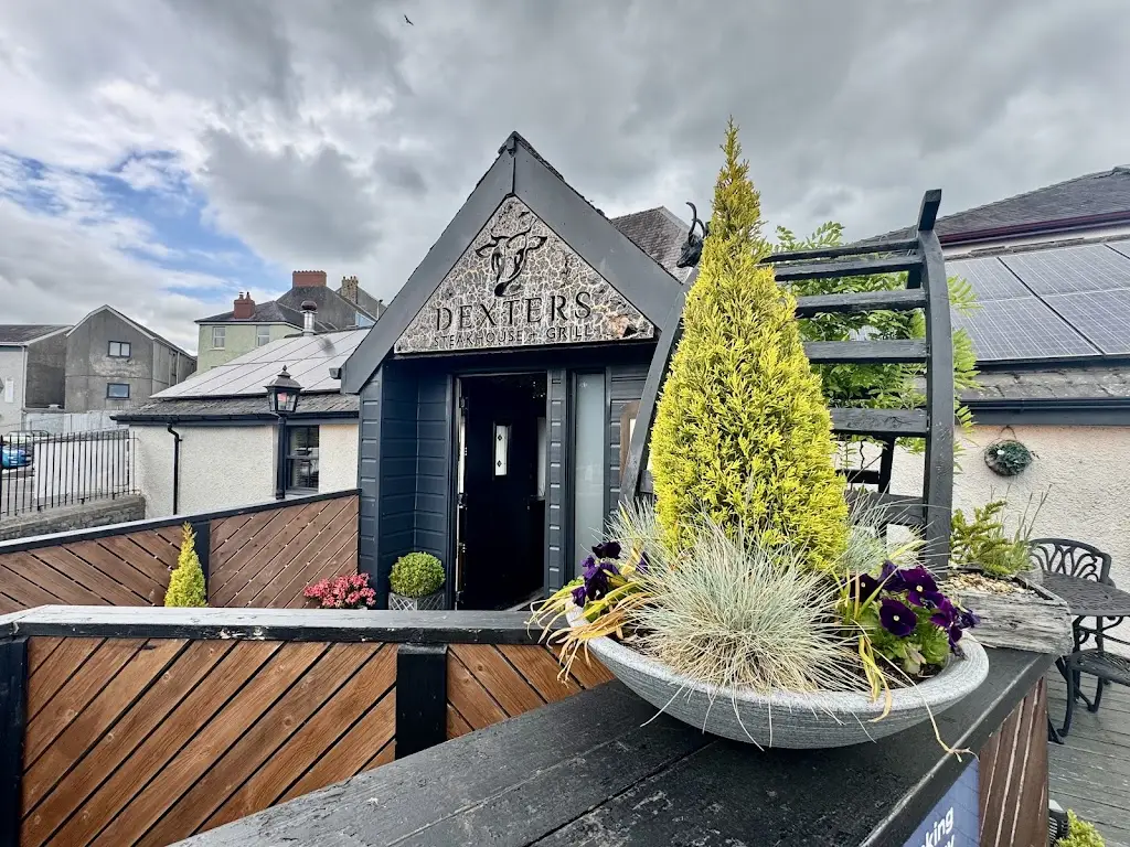 Glenn_Dexters_Carmarthen_review