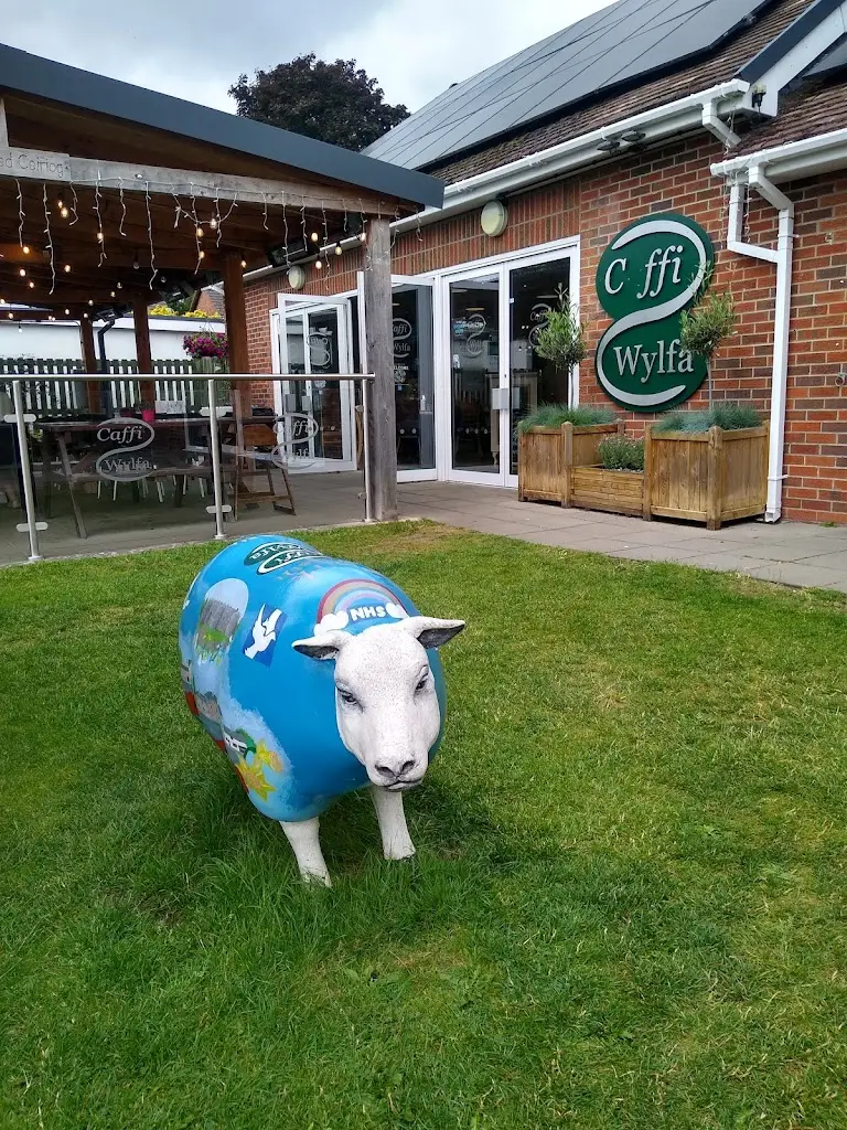 Michael Soanes_Caffi Wylfa_Chirk_review