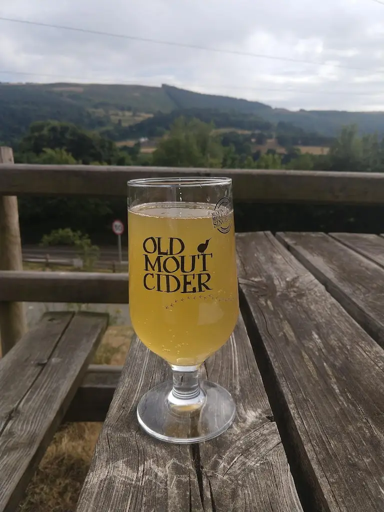 Menu_The Sun Trevor bar, restaurant and holiday cottages_Chirk_imagen_6