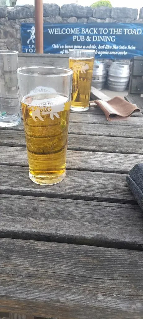 Menu_The Toad_Colwyn Bay_image_5