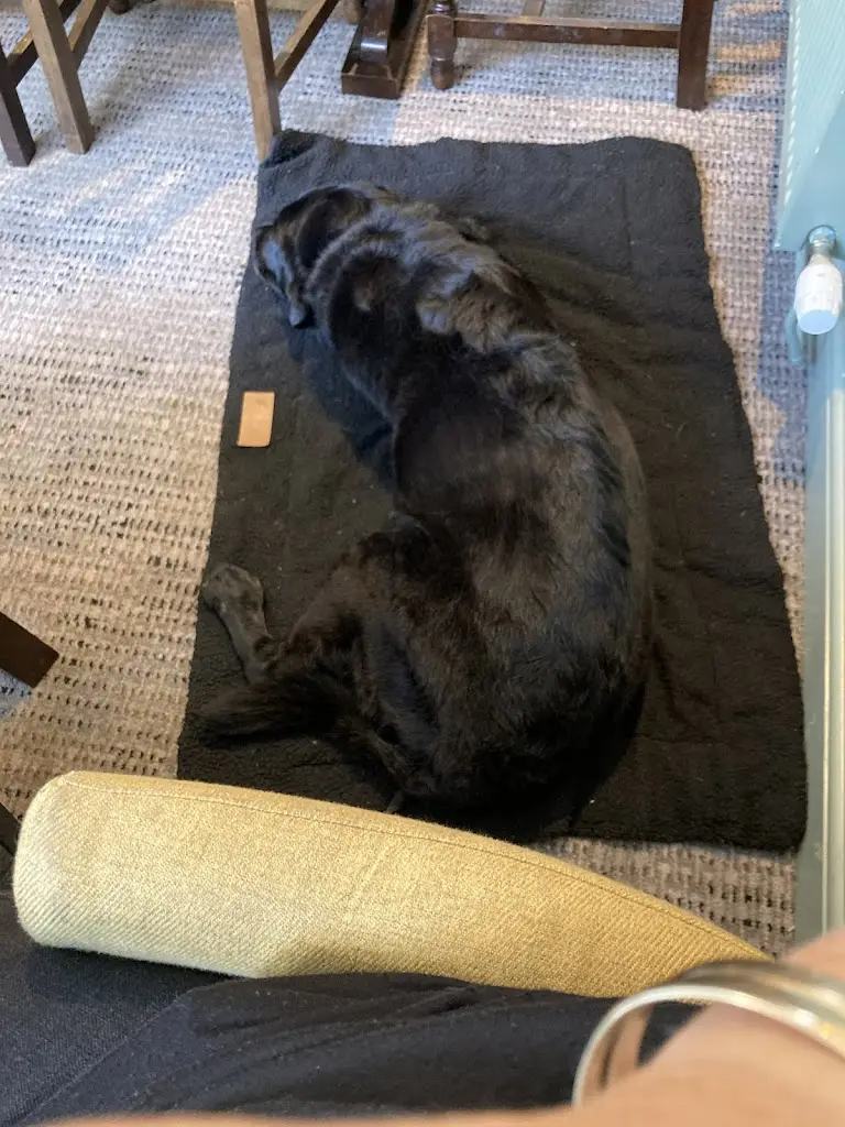 Justine Davis_The Lamb_Builth Wells_review