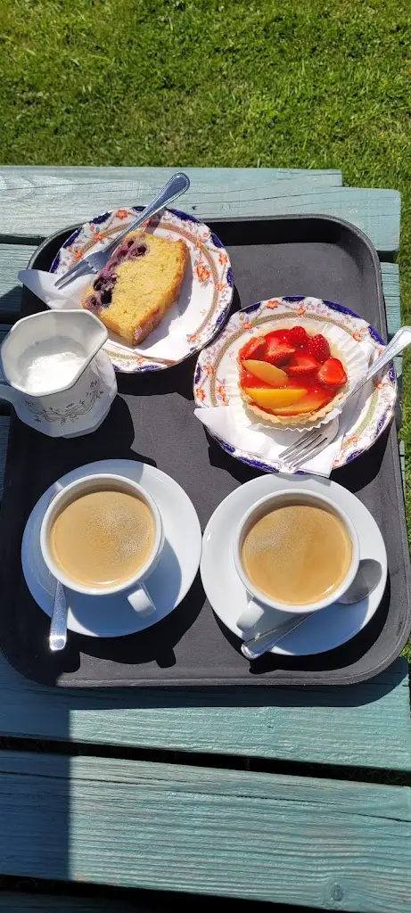 Julie Bennett_The Trout Cafe_Builth Wells_review