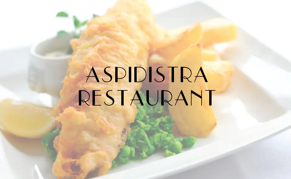 Menu_Aspidistra Restaurant_Builth Wells_image_5