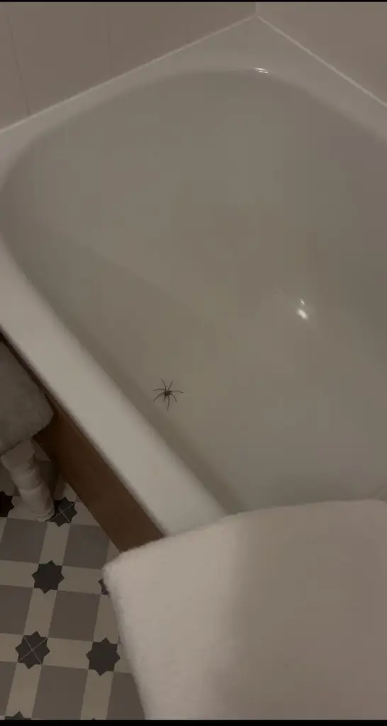 Gintare_Caer Beris Manor_Builth Wells_review