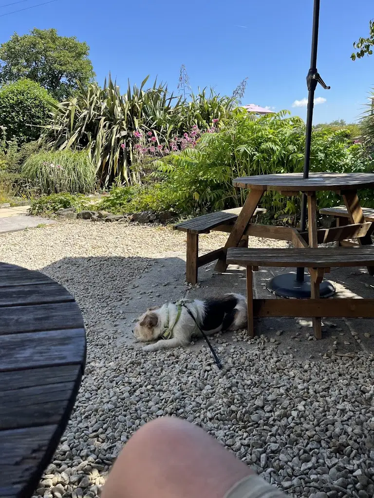 julia mchugh_Harbour Light Tearoom_Burry Port_review