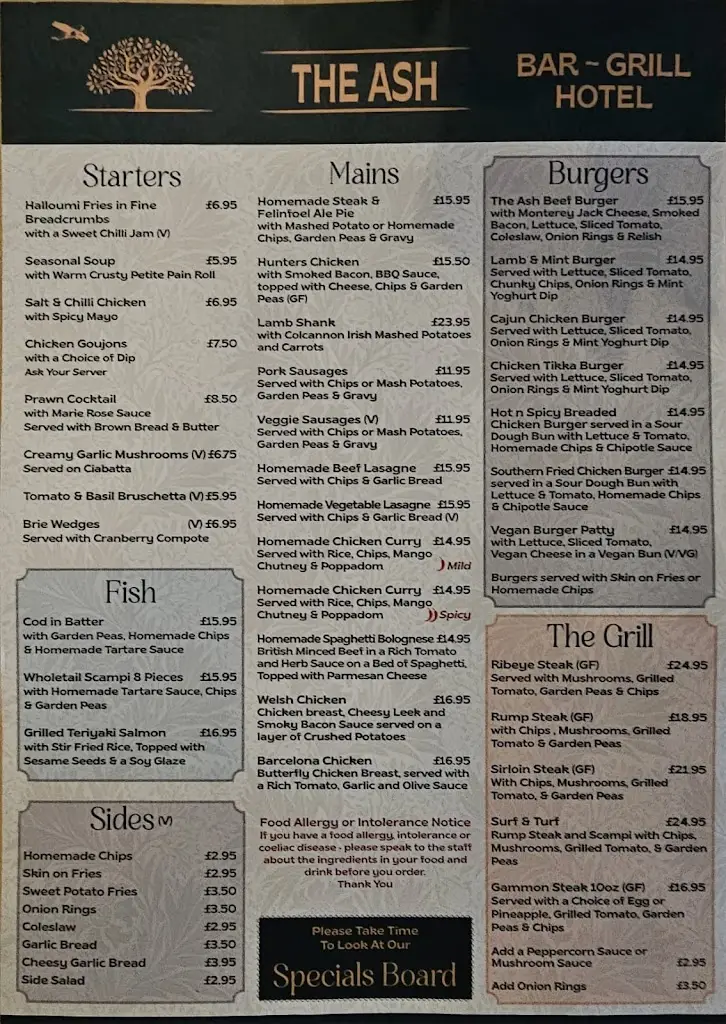 Menu_The Ash Bar & Grill _Burry Port_image_4