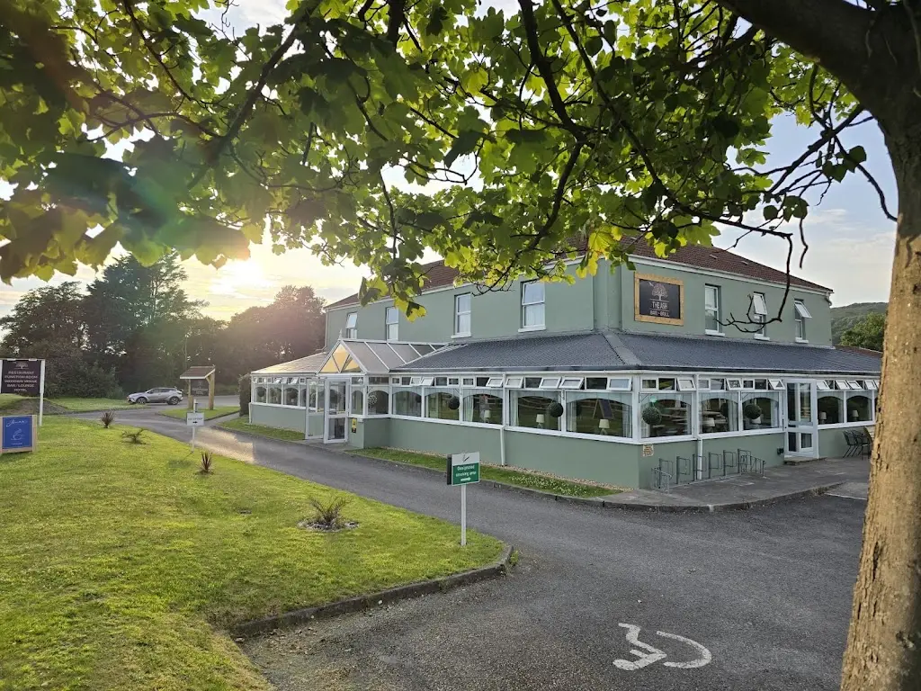 The Ash Bar & Grill _Burry Port_slider_image_3