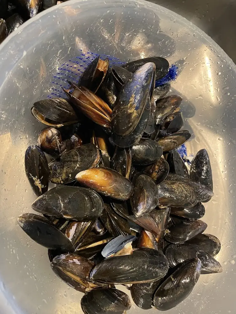 Menu_Catch of the Day Fishmongers and Fishermans Rest Cafe_Cardigan_image_9