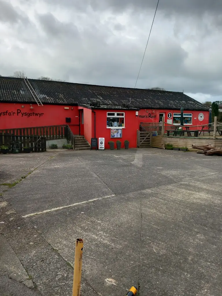 Daisy Dink_Catch of the Day Fishmongers and Fishermans Rest Cafe_Cardigan_review