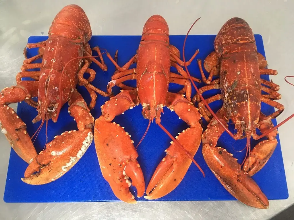 Catch of the Day Fishmongers and Fishermans Rest Cafe_Cardigan_slider_image_2