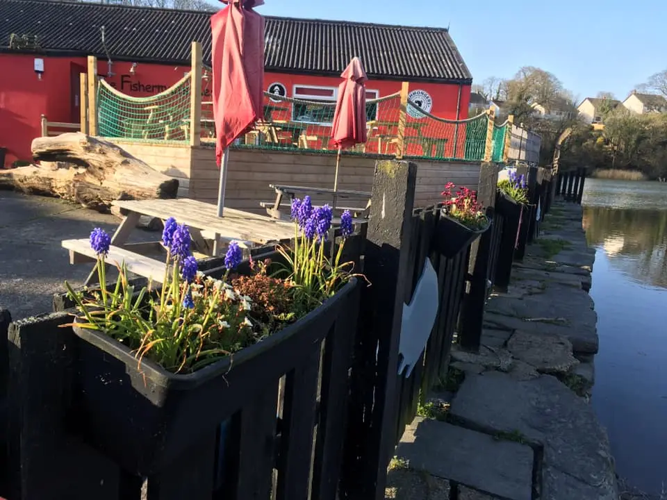 Catch of the Day Fishmongers and Fishermans Rest Cafe_Cardigan_slider_image_3