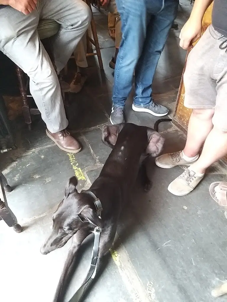 jade ross_Tafarn y Penllwyndu Country Inn_Cardigan_review