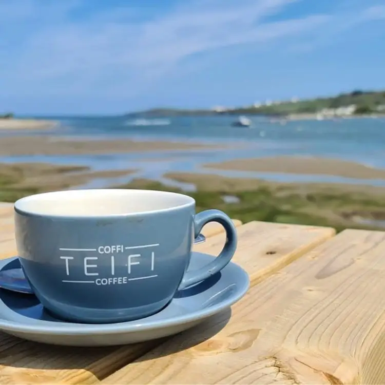 Teifi Waterside Hotel_Cardigan_slider_image_2