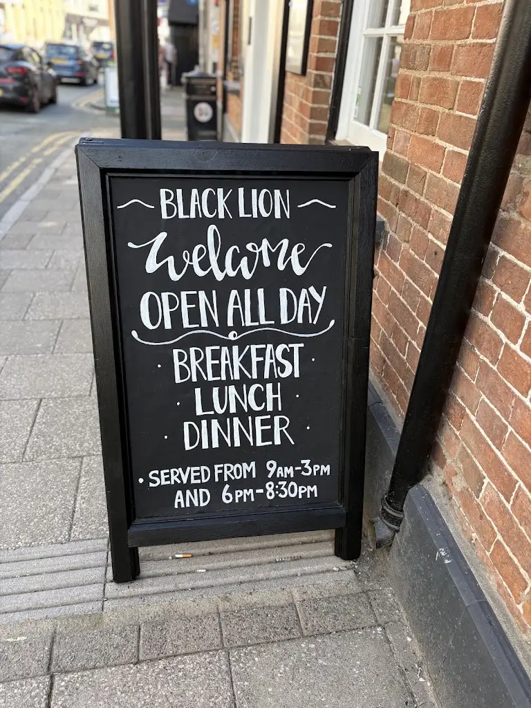 Benedict O'Leary_The Black Lion Hotel_Cardigan_review