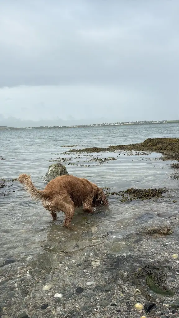 Macky Mann_Travelodge Holyhead_Denbighshire_review