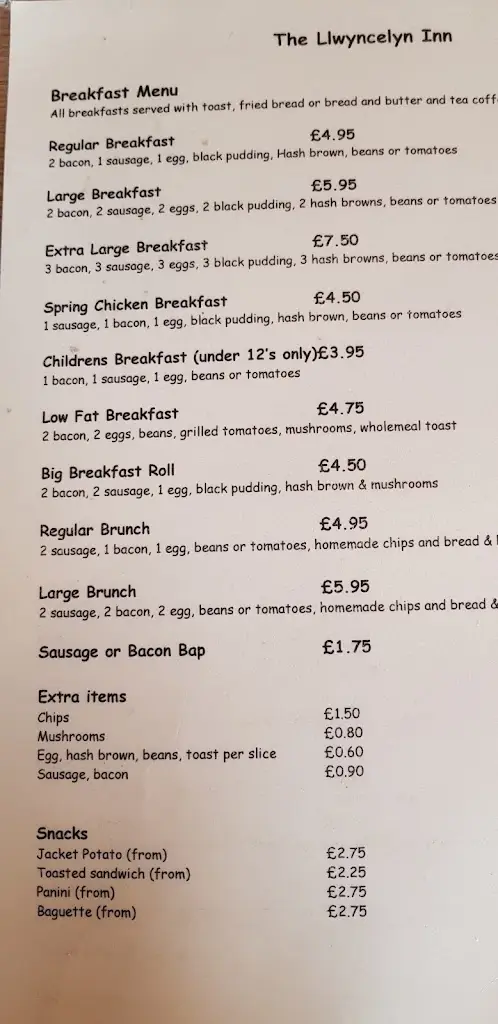 Menu_The Llwyncelyn Inn_Cwmbach_image_1