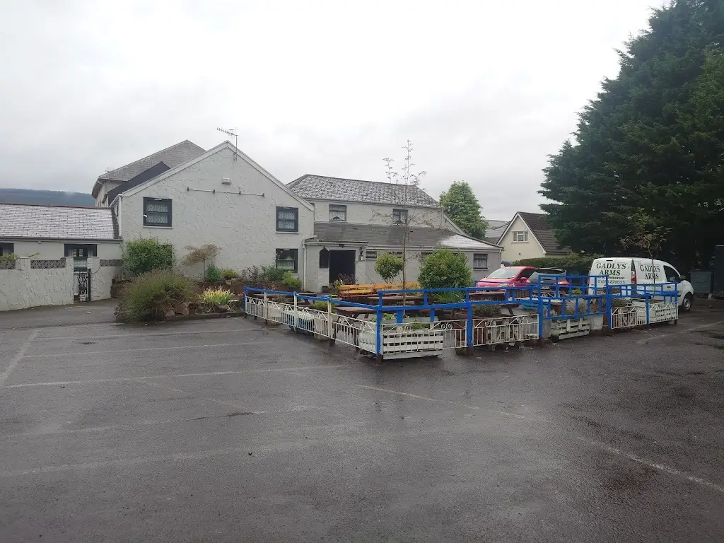 mark morelli_Gadlys Arms_Cwmbach_review