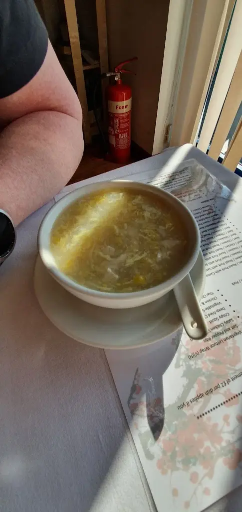 Menu_Golden Wok Chinese Restaurant_Cowbridge_image_6